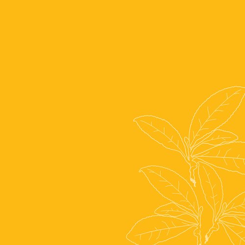 SheaMoisture Low Porosity Weightless Hydrating Conditioner For Moisture Resistant, Curly, Coily Hair Lightweight Hair Conditioner 13 fl oz