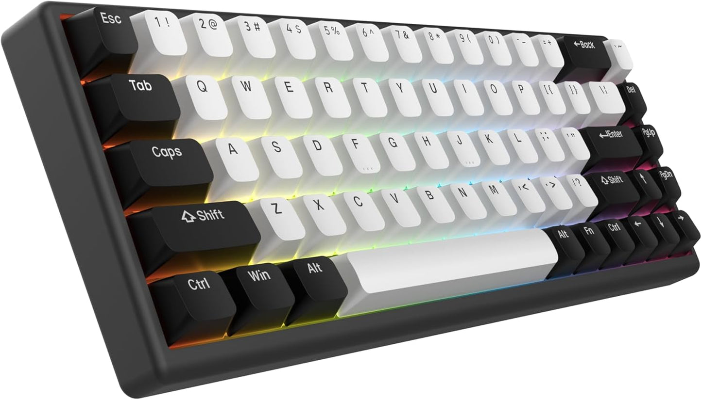ARBITER Polar 65 - CNC Magnetic Gaming Keyboard w Rapid Trigger, Hall Effect Switches, CNC Aluminum Frame, Rapid Key, 65% Compact, Bright RGB, Dual-Shot PBT Keycaps - Kumo Blue