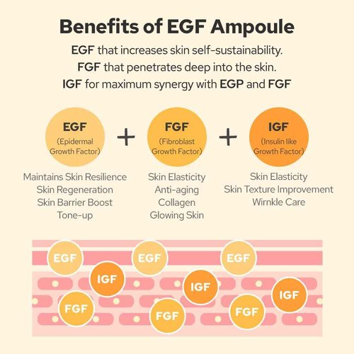 EGF Peptide Ampoule, Epidermal Growth Factors, Peptide, Collagen, Hyaluronic Acid, and Evening Primrose Extract for Skin Elasticity and Skin Cell Renewal, Korean Skincare (1.86 fl oz)