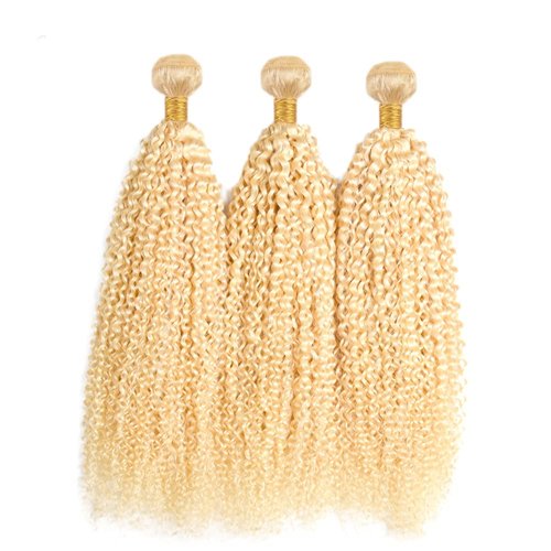 Blonde Bundles Human Hair 613 Kinky Curly Bundles 14 16 18 Inch Grade 8A Brazilian Virgin Hair Extensions Blonde Curly Bundle