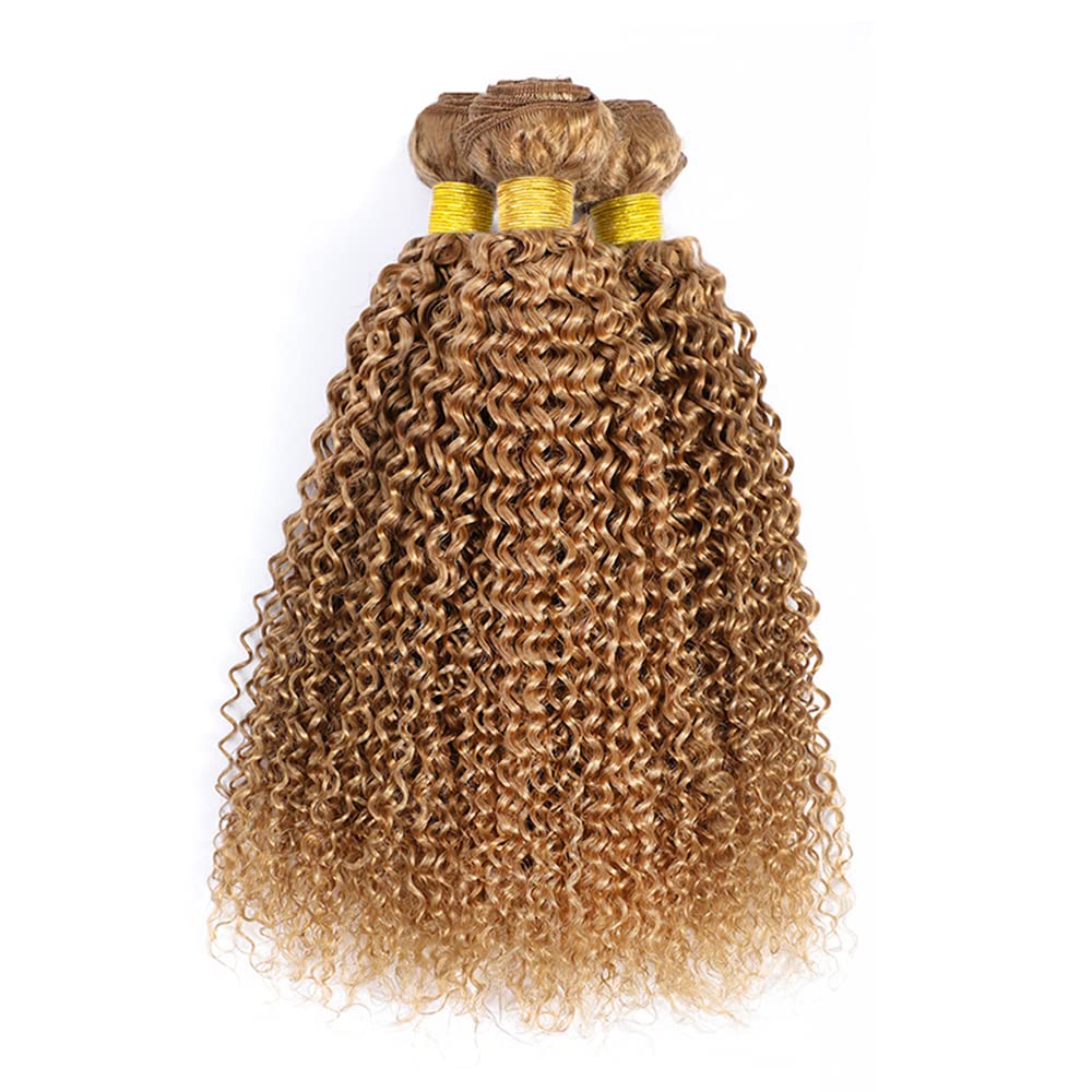 #27 Kinky Curly Bundle Honey Blonde Human Hair 3 Bundles Brazilian Unprocessed Virgin Hair Extensions Double Weft Bundle For Women 12 14 16 Inch