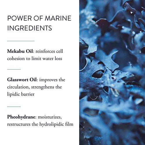 PHYTOMER Oleocreme Ultra-Moisturizing Body Milk | Soothing Body Milk Lotion for more Nourished, Visibly Plumped Skin | Instant Hydration | Visibly Plumped Skin | 250 ml