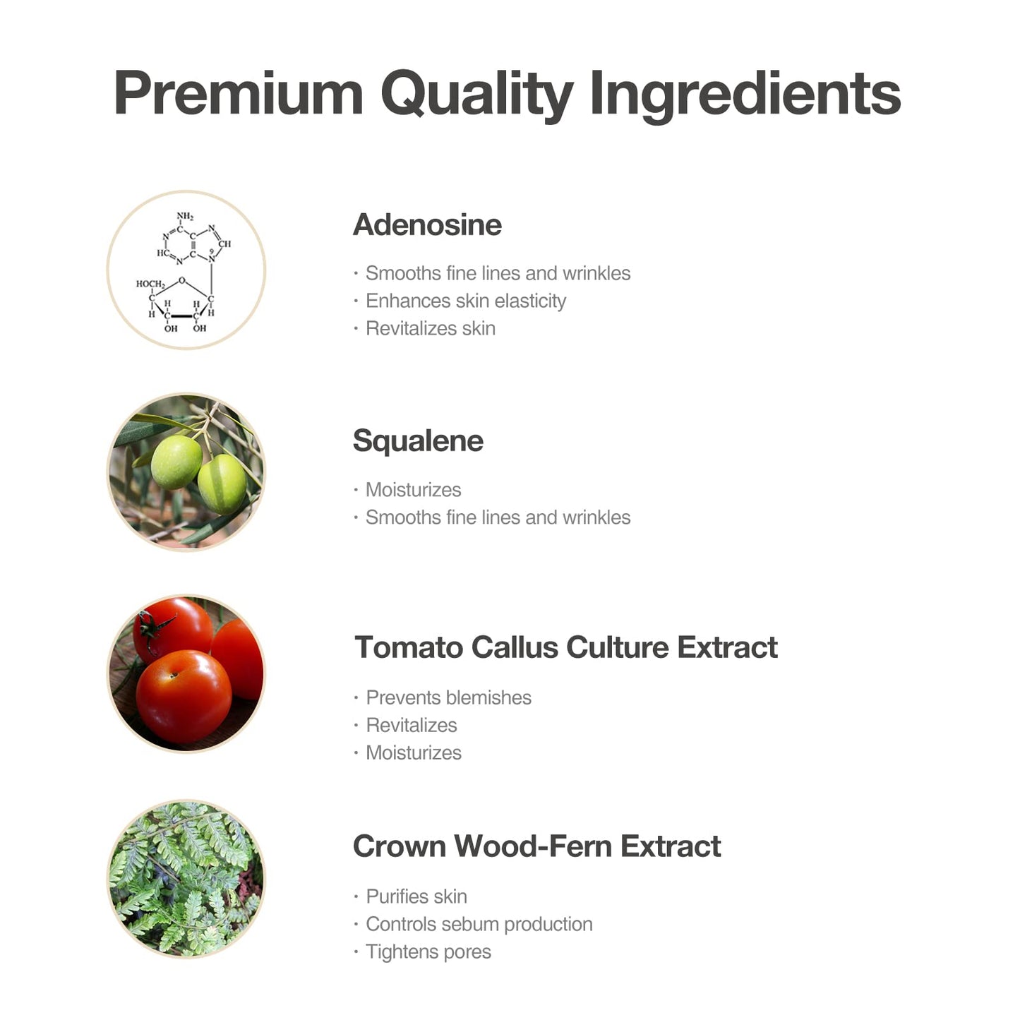 OxygenCeuticals Anti Oxidant Cream – Anti-Aging & Wrinkle Care Cream with Edelweiss Callus Extract, Adenosine & Squalane, Moisturizing & Firming Skincare for Dry, Aging Skin. 1.69 fl.oz (50ml)