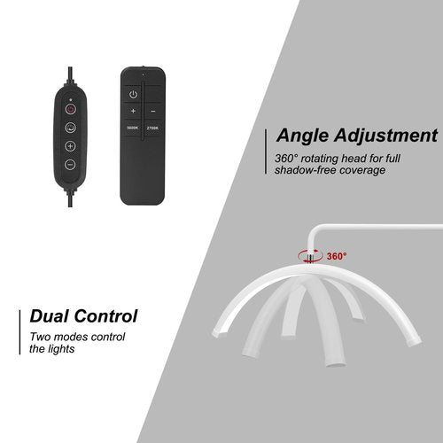 ebrlaxin Half Moon Light - 22 inch LED Lash Lamp for Eyelash Extensions for Tattoo Artists, Nail Tech, Esthetician - Cool, Warm Lamp with Adjustable Brightness & Height (White)