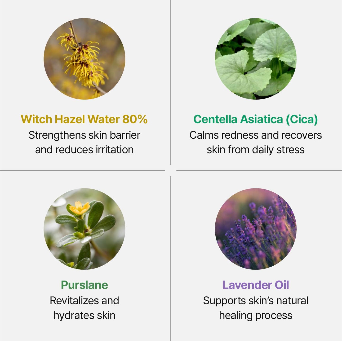 Groundplan Silver Shield Mist - Facial Barrier Toner Spray, 80% Witch Hazel Water, Centella Asiatica for Skin Barrier Repair, Recovery Calming Mist for Sensitive Skin, Korean Skin Care (11.16 fl oz)