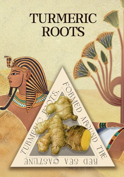 BUNNY DULCEA Castor Oil Scalp Rejuvenating Shampoo Deeply Cleanse Scalp Reduce Hair Loss Active Substance of Natural Keratin Repairs Hair Barrier Strengthens the Roots and Strands