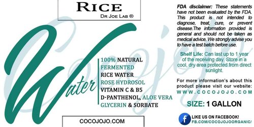 Dr Joe Lab Rice Water Growth Mix, Nourishing Toner with Rose Hydrosol, Aloe Vera Face and Scalp Essence, Rice Extract, Pro Vitamin B5, Oily Skin, Alcohol-Free Spray (128 oz)