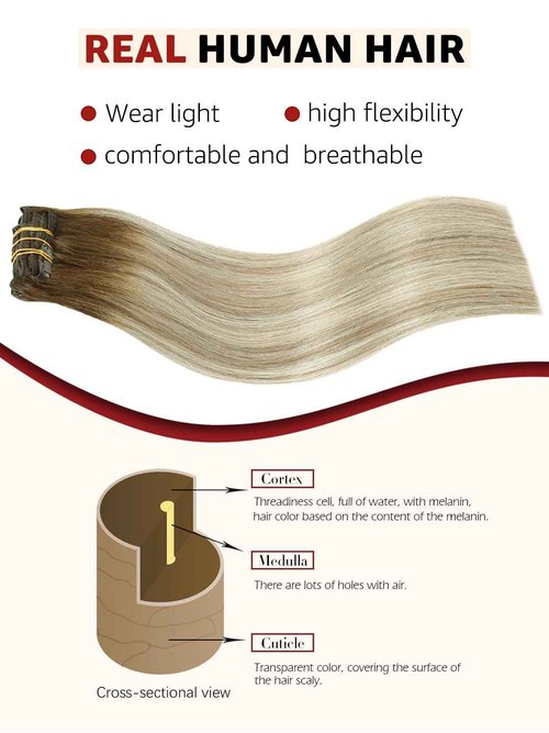 SAFIRENY Clip in Hair Extensions Real Human Hair Double Weft Balayage Color Walnut Brown To Ash Brown And Golden Blonde,Clip in Hair Extensions,16 Inch 100g,6pcs Per Set With 18 Clips（#3/8/22,16")