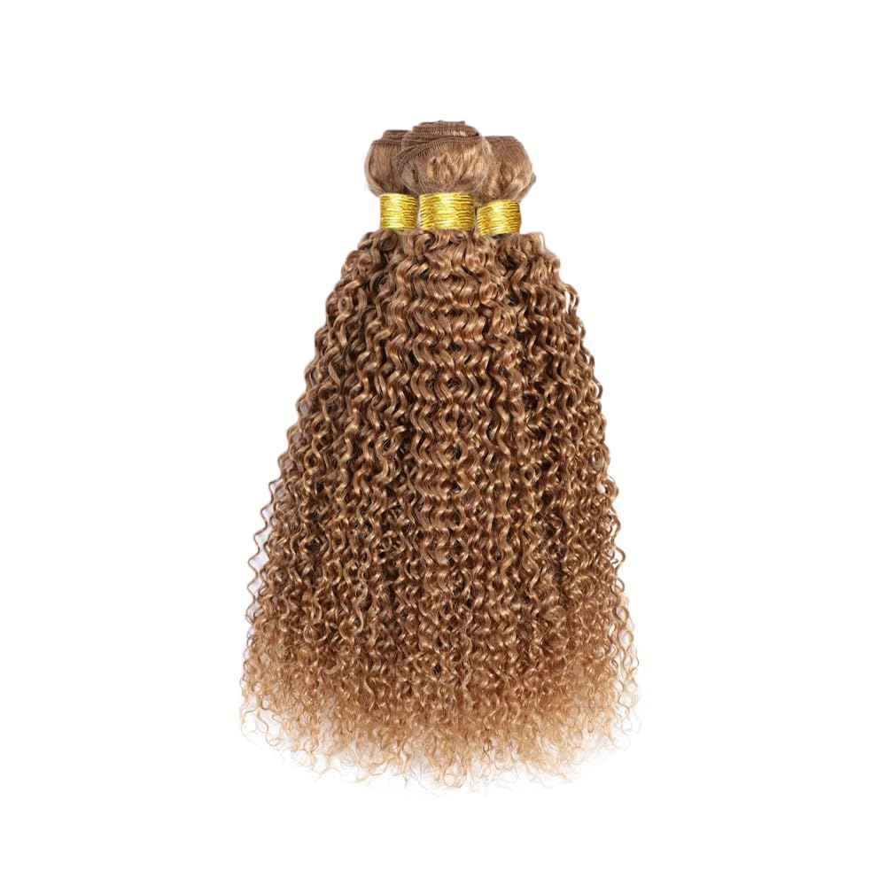 26 28 30 Inch Color 27 Bundles Human Hair Honey Blonde Curly Bundles Human Hair Brazilian Unprocessed Virgin Hair 3 Bundles Color 27 Kinky Curly Bundles Human Hair
