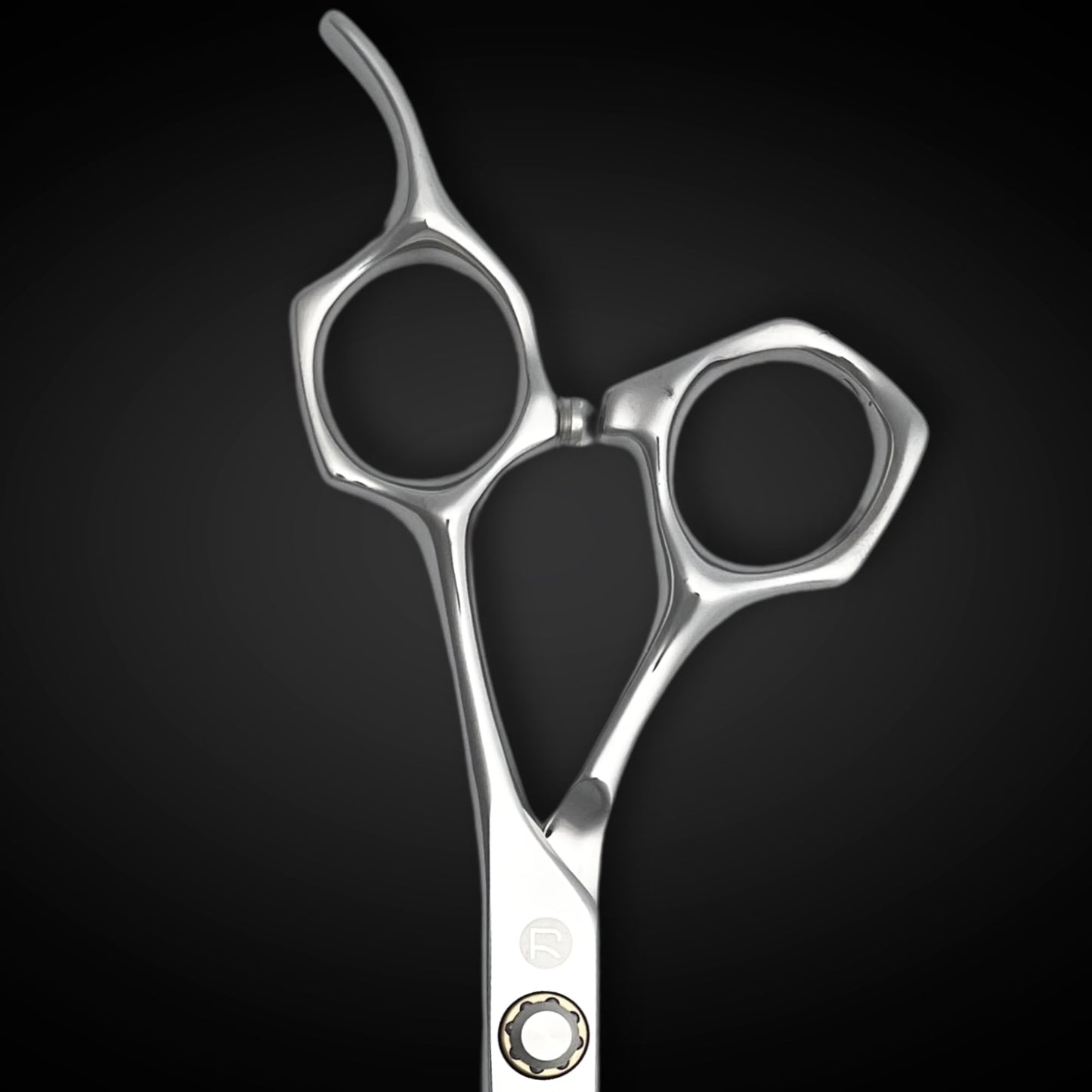 Professional Hair Cutting Scissors - 6 Inches - Convex Blade - Japanese 440C Stainless Steel - For Wet or Dry Cutting - Saki Shears Musashi For Hairdressers and Barbers