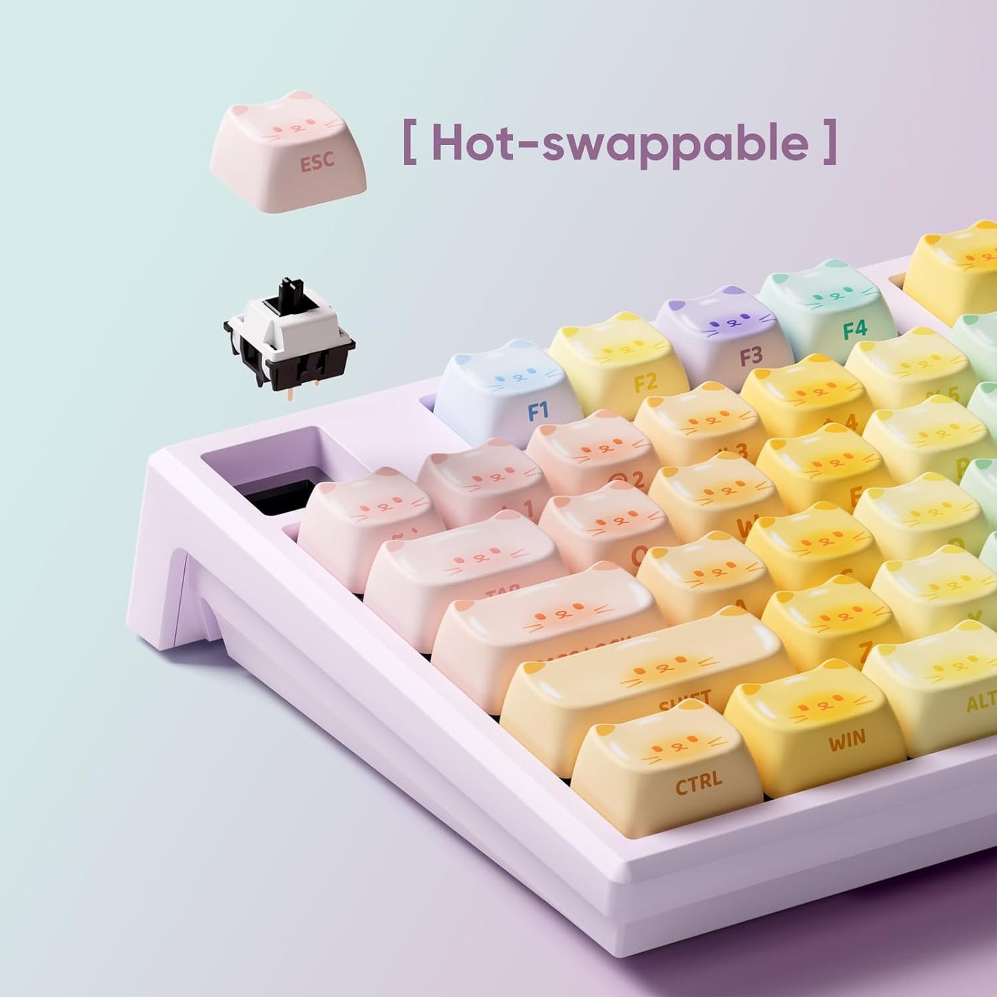 AKKO MG108B Colorful Cats Mechanical Keyboard Hot-Swappable Multi-Mode Gaming Keyboard with PBT Dye-Sub Mao Profile Keycaps Pre Lubed Piano Switch