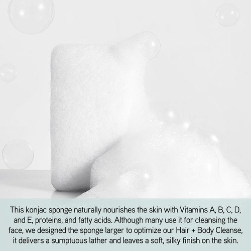 ILES FORMULA Haute Performance Hair + Body Cleanse + Natural Sponge - Gently Cleanse & Nourish Hair + Body, Sulfate, Silicone & Paraben Free, 500 ML