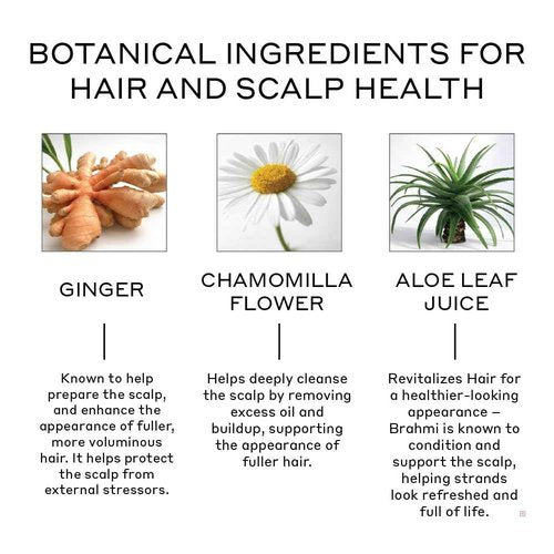 ZENAGEN Revolve Conditioner (Unisex) | Supports Scalp Health & Appearance of Fuller, Healthier Hair, Developed for Fine & Visibly Thinning Hair, Plant-Based, Color-Safe, Vegan, 473 mL / 16 oz