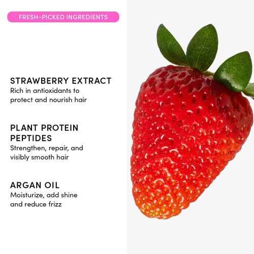 Evereden Kids Complete Haircare Set: Hair Detangling Shampoo, Conditioner & Spray for Children Ages 3+ & Pain-Free Hair Brush, Plant Protein Peptides & Argan Oil, Vegan, Free from Sulfate and Paraben