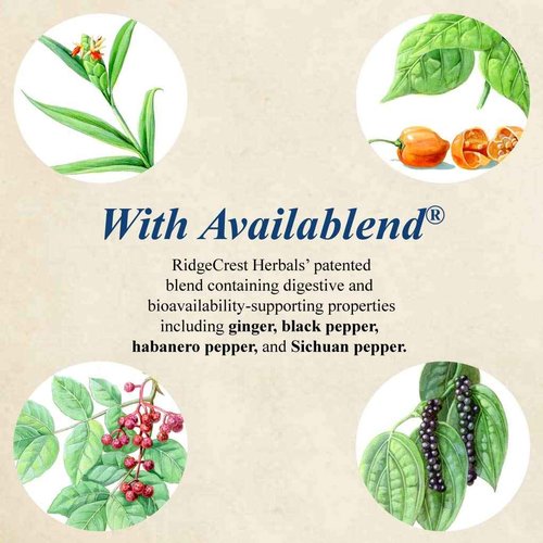 RidgeCrest Clearlungs Extra Strength, Homeo/Herbal Decongestant , 120 Veg Capsules