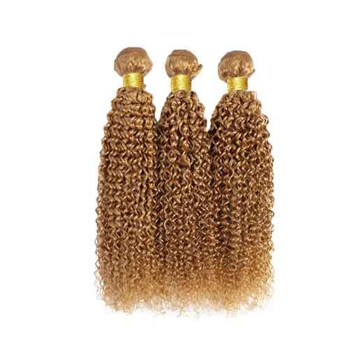 22 24 26 Inch Honey Blonde Bundles Color #27 Kinky Curly Human Hair Bundles Brazilian Honey Blonde Kinky Curly Bundles Human Hair Color #27 Bundles Hair Extensions