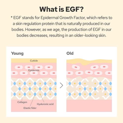 EGF Peptide Ampoule, Epidermal Growth Factors, Peptide, Collagen, Hyaluronic Acid, and Evening Primrose Extract for Skin Elasticity and Skin Cell Renewal, Korean Skincare (1.86 fl oz)