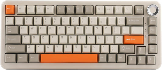 AJAZZ AK820 MAX Upgraded 75% Gasket Mechanical Keyboard, BT5.0/USB-C/2.4GHz Wireless Gaming Keyboard with 8000mAh Battery, Flex-Cut PCB, PC Plate, RGB for Win/Mac (Retro White)