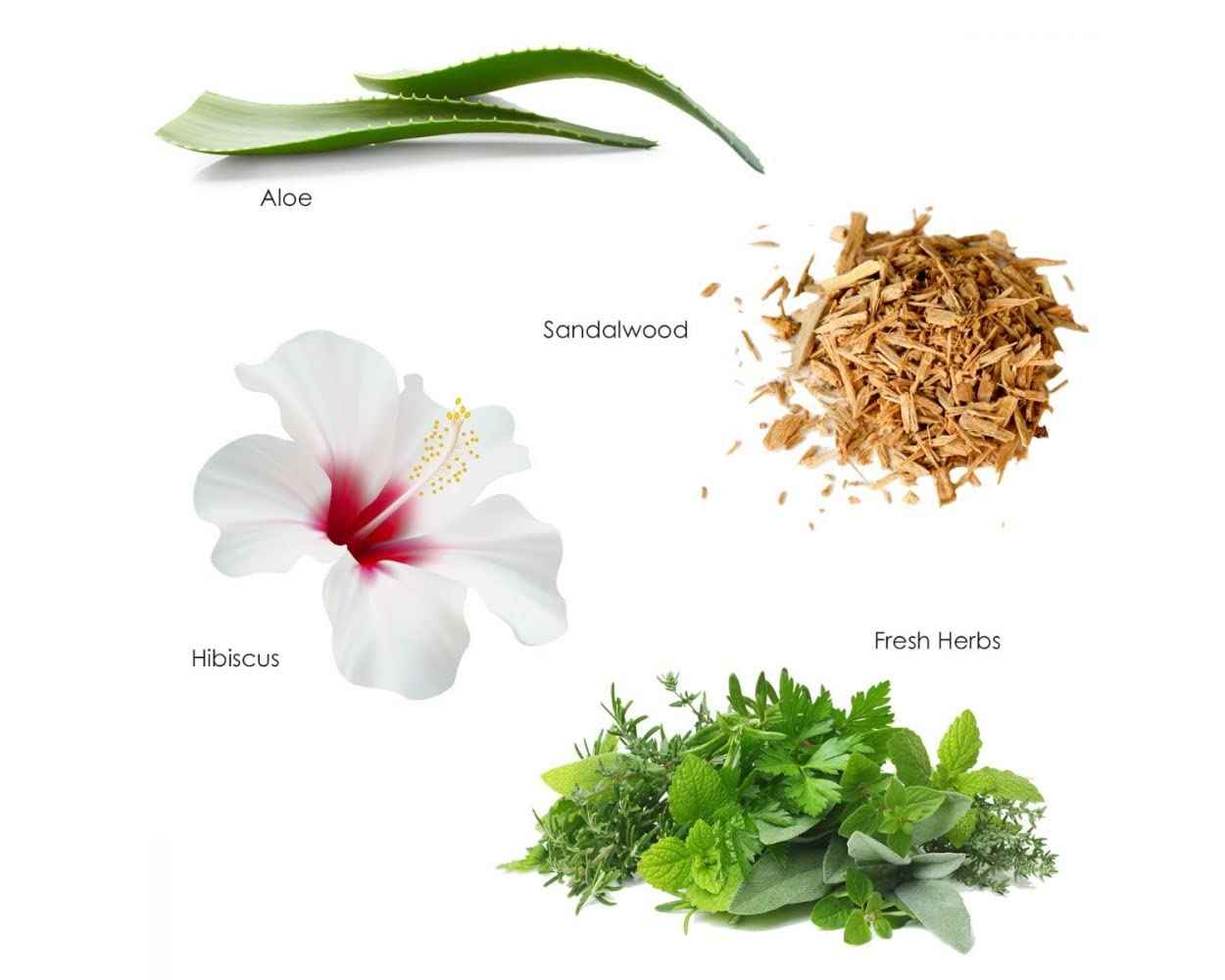 Gilchrist & Soames Zero% Unisex Conditioner - 1 Gallon - Light and fresh, All Hair Types, Zero Parabens, Sulfates, and Phthalates