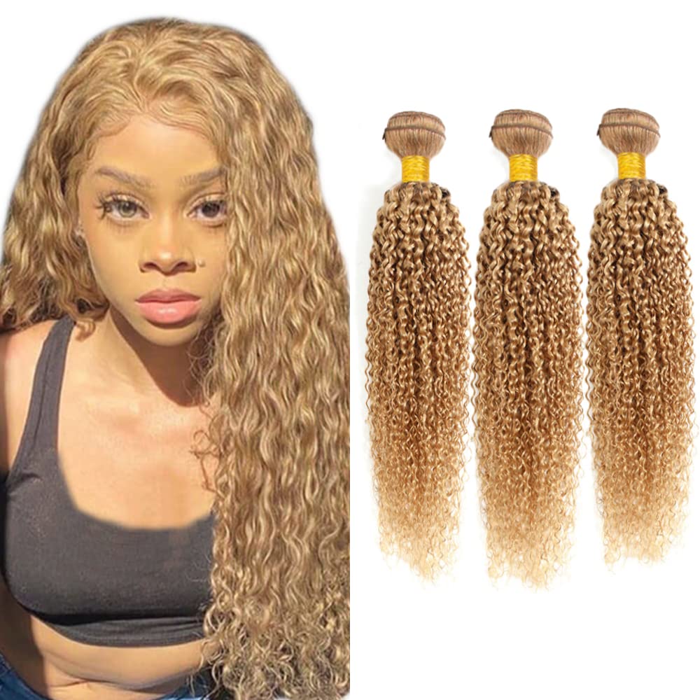 #27 Kinky Curly Bundle Honey Blonde Human Hair 3 Bundles Brazilian Unprocessed Virgin Hair Extensions Double Weft Bundle For Women 12 14 16 Inch