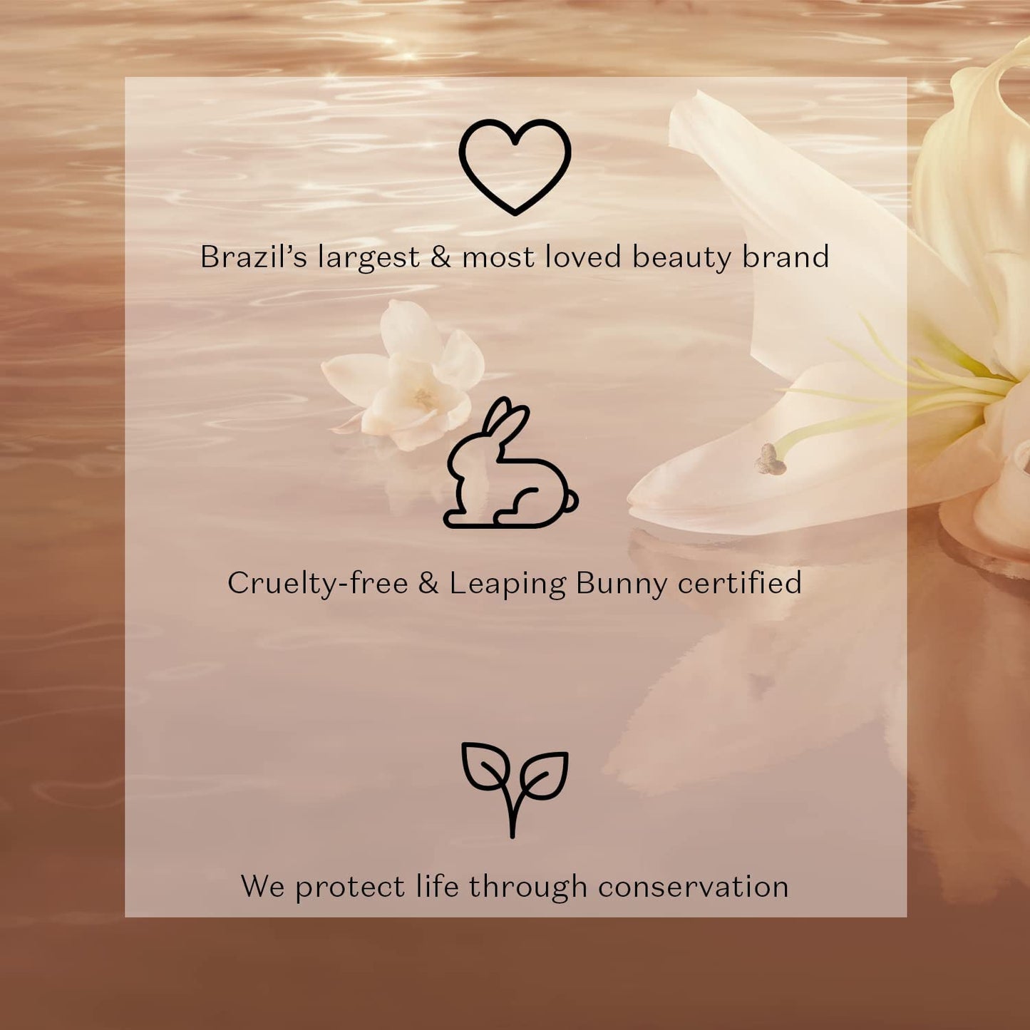 Glamour Secret Black Bundle: Eau de Toilette (2.5 Fl Oz) & Moisturizing Body Lotion (6.7 Oz)