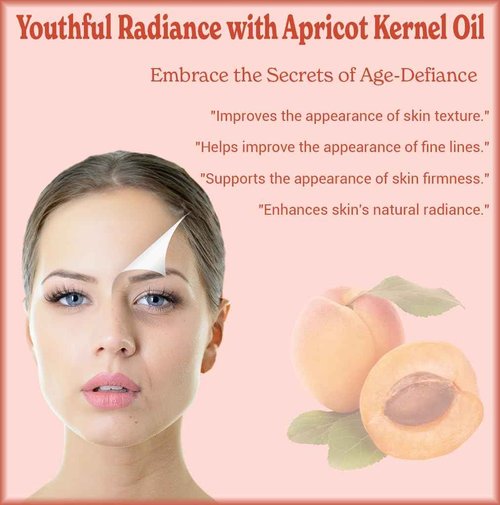 Natural Born Oils Apricot Kernel Oil, 1 Gallon, Organic, Cold-Pressed, Abundant in Fatty Acids, Hydrates Skin, Enhances Hair Luster