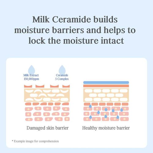 NACIFIC Uyu Cream Moisturizing Set Toner 150ml 5.07fl.oz, Ampoule 50ml 1.69fl.oz, Cream 50ml 1.69fl.oz, Milk Jeju Island, 100 housr lasting, Deep Moisture
