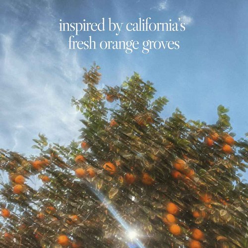 Noteworthy n,307 Sunlit Grove Eau De Parfum – Mandarin, Basil, Sandalwood | Sophisticated, Warm Fragrance for Any Occasion | Long-lasting Unisex Perfume for Women & Men (50ml)