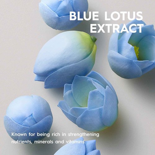 KERASILK Volumizing Shampoo | Provides Weightless Hydration | Enhances Volume | For Fine, Limp, Flat Hair | 750 ml