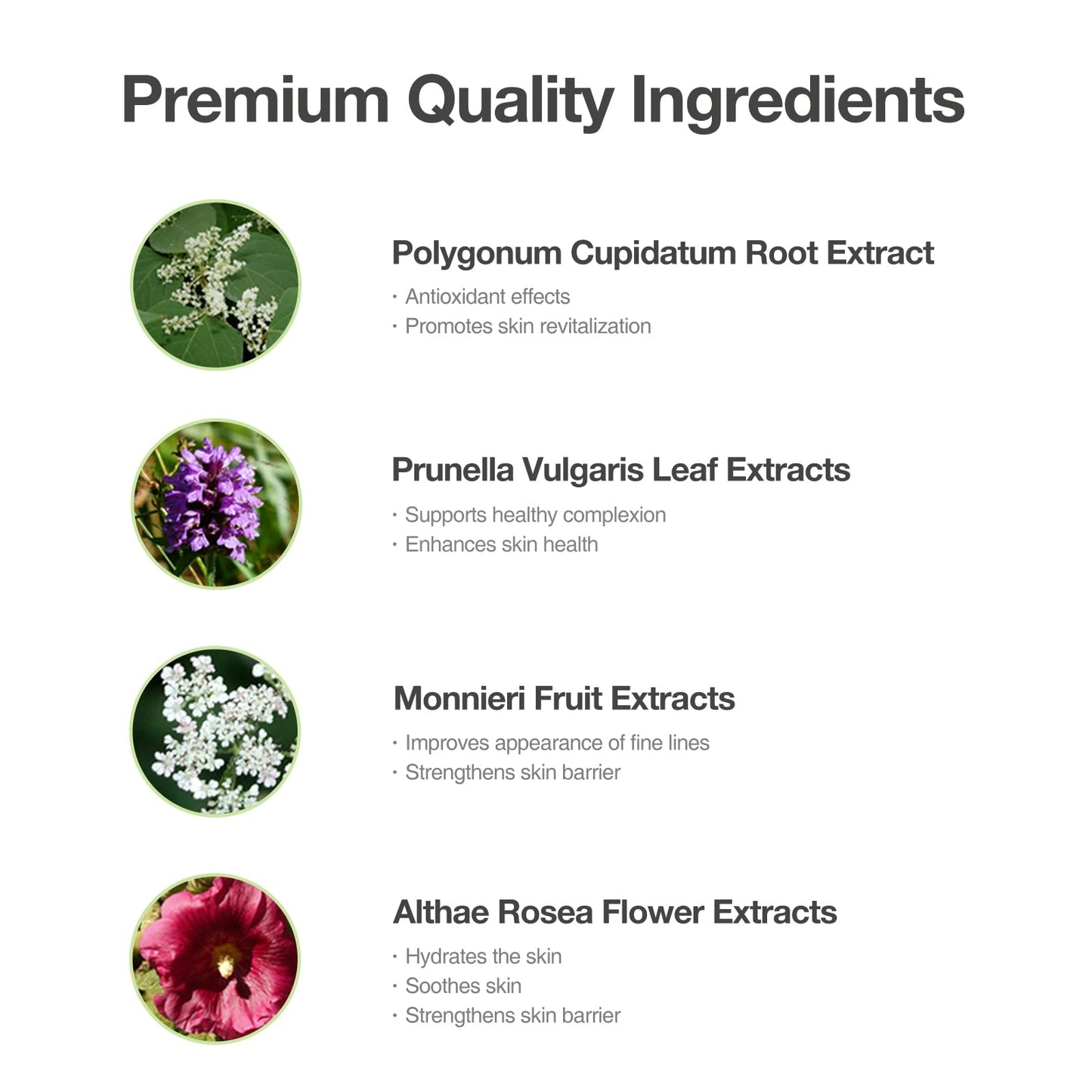 OxygenCeuticals Acell-300 Fluid – Patented ACELL-300 Complex with Plant-Based Oils, Strengthens Skin Barrier & Locks Moisture, Oil-Free Hydrating Ampoule for Dry & Sensitive Skin. 1.69 fl.oz (50ml)