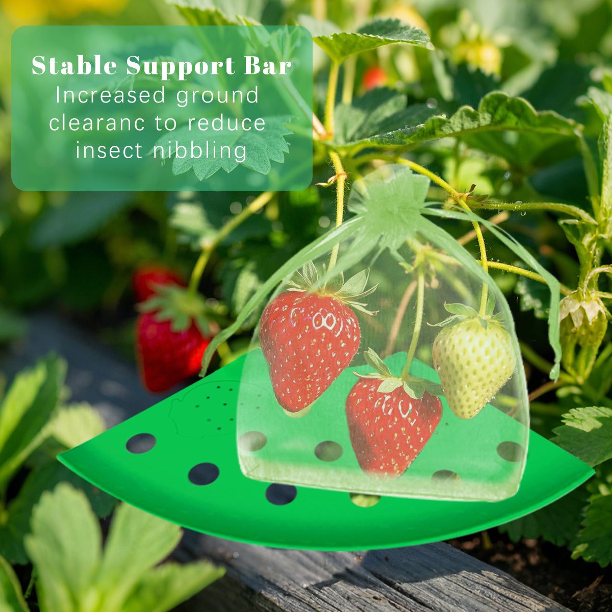 8Pcs Strawberry Planting Kit with 20 Insect-Proof Mesh Bags for Garden