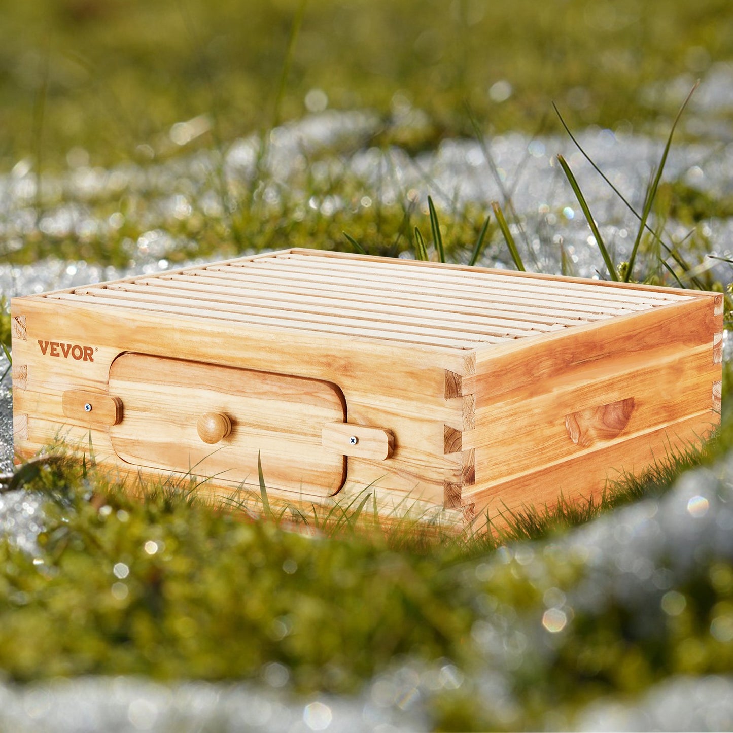 Bee Hive Medium Box Starter Kit with Cedar Wood & Transparent Windows
