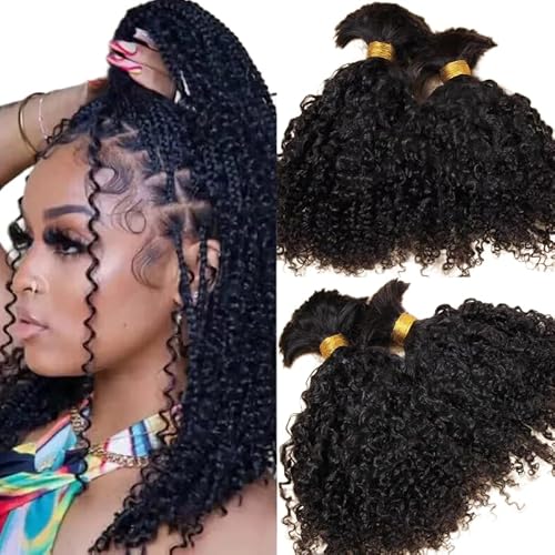 Afro Kinky Bulk Human Braiding Hair 100% Unprocessed Brazilian Virgin Human Hair Extensions Micro Kinky Curly Braids Hair Braids Double Drown Full End Bulk Hair 22 Inch 100g