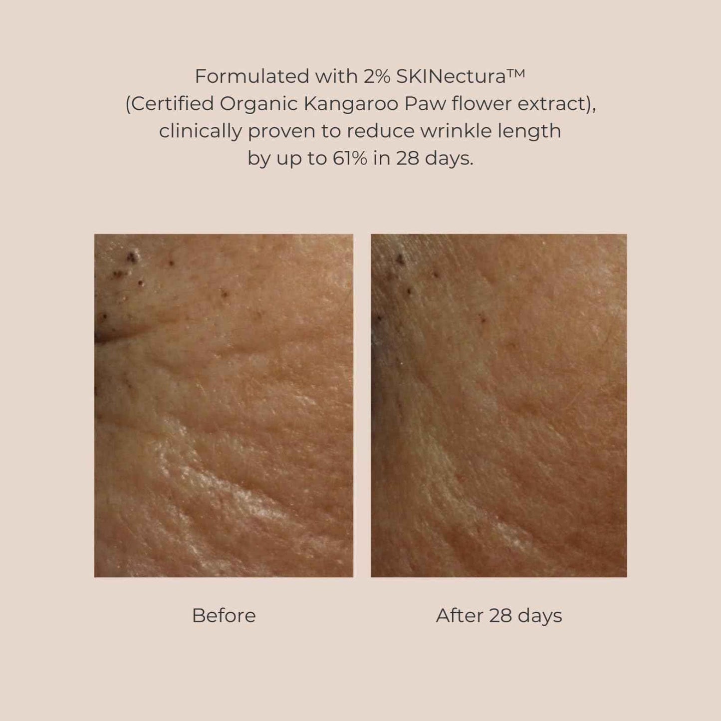 INIKA Organic Pure Perfection Primer | Clinically Proven to Boost Hydration + Reduce Wrinkles. Skincare Enriched. Smooth Dewy Finish. Extend Makeup & Create a Flawless Base. 30mL