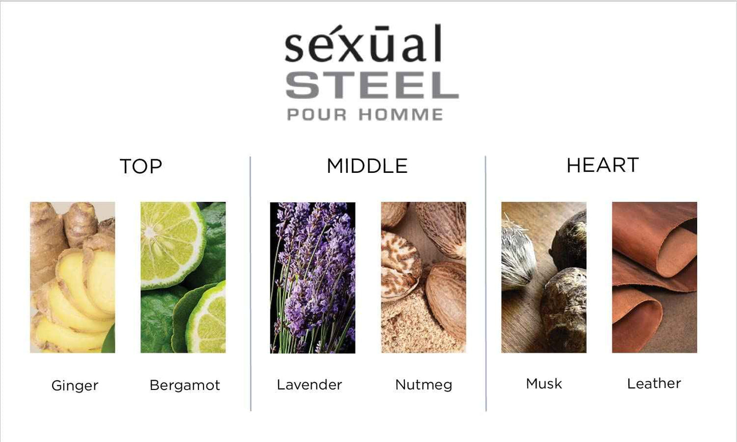 Michel Germain Sexual Steel Pour Homme Eau de Toilette Spray Men's Cologne, Top Notes of Ginger, Bergamot, Rhubarb Leaves, Charismatic & Intense Gift for Him, 2.5 Fl Oz