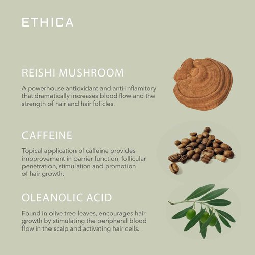 Ethica Beauty Sulfate-Free Salon-Grade Anti-Aging Moisturizing Shampoo, Hypoallergenic Scalp & Hair Growth Formula, For All Hair Types - Paraben Free, Gluten Free, Fragrance Free, 16.9 oz