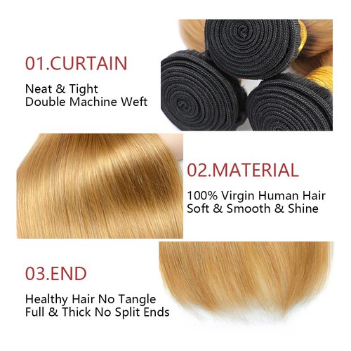 1B27 Straight Bundle Ombre Honey Blonde Human Hair 3 Bundles Brazilian Unprocessed Virgin Hair Extensions For Women 20 22 24 Inch
