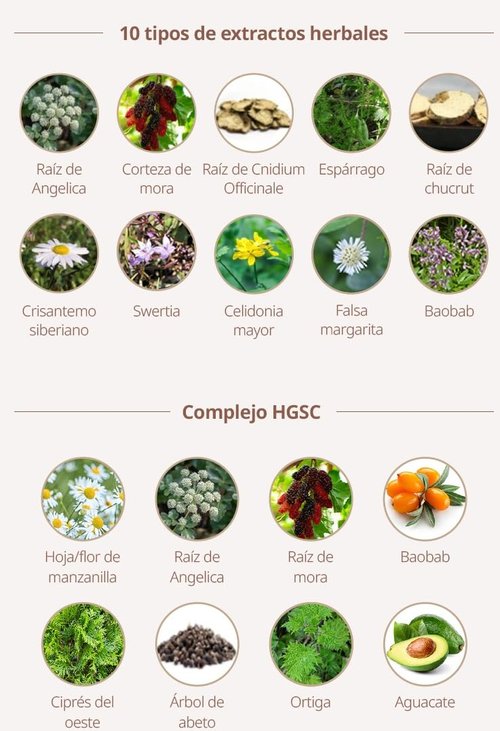 Atomy Herbal Hair Shampoo 500 Ml (2 Pcs)