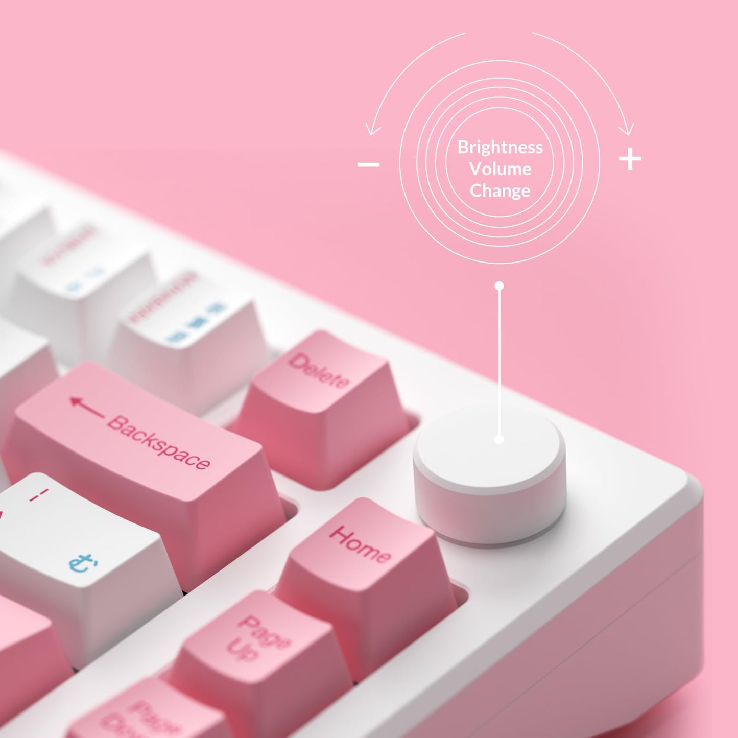 Akko Magnetic Switches Rapid Trigger Gaming Keyboard, MOD007B HE PC World Tour Tokyo Wired/Wireless 75% 8k Polling Rate Mechanical Keyboard with Knob, RGB Backlit (Kailh Sakura Pink Magnetic Switch)