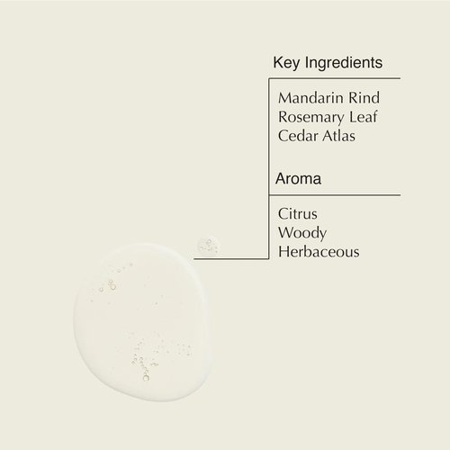 Aesop Resurrection Rinse-Free Hand Wash | Aromatic, Alcohol-Based Gel with Purifying and Hydrating Properties | Cleanses without Water | 1.7 oz + 16.9 oz