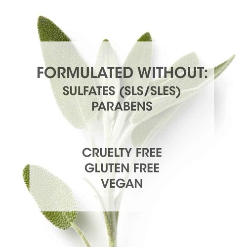 ozVEN Hair Care Gazar Hydrate Conditioner for Women & Men, Anti-Frizz, Moisturize Dry Hair, Sulfate + Paraben Free, Cruelty Free with Argan Oil, Jojoba & Biotin, Made in USA, 2oz