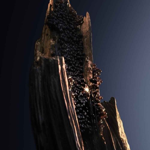 Paco Rabanne Phantom Intense Eau De Parfum Spray for Men,1.7 Ounce