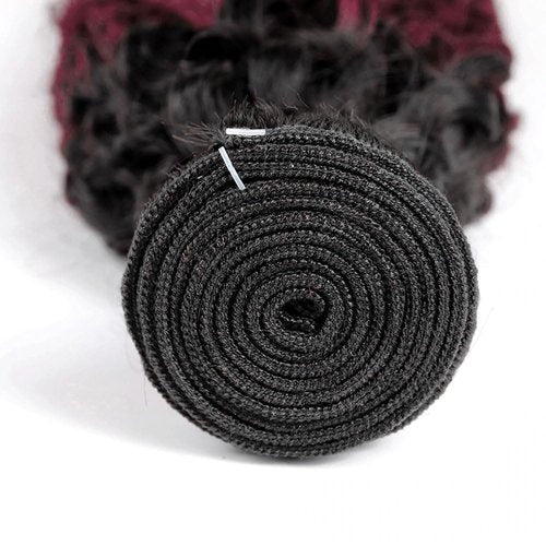 GLSMOSNW Ombre Burgundy Human Hair Bundles Black And Wine Red 1B/99j Deep Wave Bundles 18 20 22 Inch Unprocessed Brazilian Virgin Hair Extensions Burgundy Ombre Deep Wave Bundle