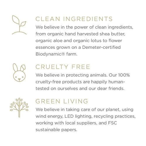 Zents Body Wash and Lotion Set (Fresh), Ageless Aloe Moisture Wash, Age Defying Probiotic Body and Hand Lotion, Cleanse, Moisturize and Nourish Dry Skin, A Powerful Skin Healing Duo