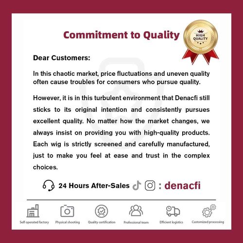 denacfi 250 Density 13x6 Full Lace Frontal Wigs Human Hair Straight Lace Front Wigs 12A Brazilian Virgin Human Hair Wigs for Women Glueless Wigs Pre Plucked 20 Inch