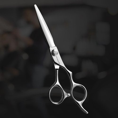 AOLANDUO Hair Cutting Shears - Japanese Stainless Steel, Convex Edge, Ergonomic, Includes Case - 1 Count, 6 in