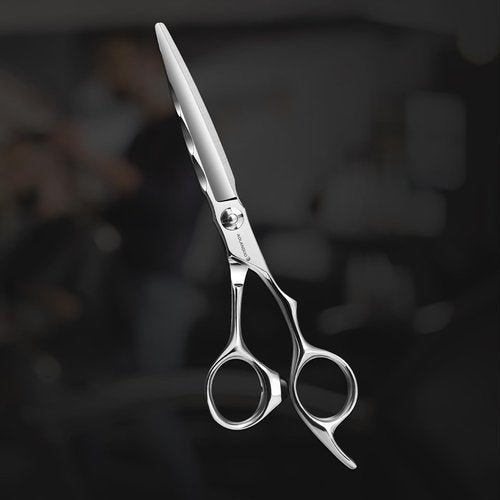 AOLANDUO Professional Shears for Hair Cutting, VG10 Steel Scissors to Cut Hair Professional, Precision Barber & Hair Stylist Shears, Ergonomic, 1 Count, 6.0 Inch