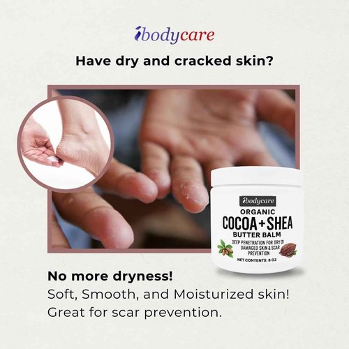 ibodycare Organic Raw Cocoa Butter Shea Butter Body Balm with Coconut Oil, 8 oz Unrefined Natural Body Butter Blend with Shea Butter Moisture for Women, Baby, Children, Men, All Body (2)
