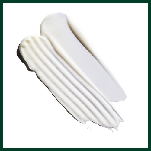 Aveda Nutriplenish Light Moisture Shampoo & Conditioner Duo | for Normal to Dry Hair | Organic Pomegranate Oil, Coconut Oil, Mango Butter | 8.5 Fl Oz