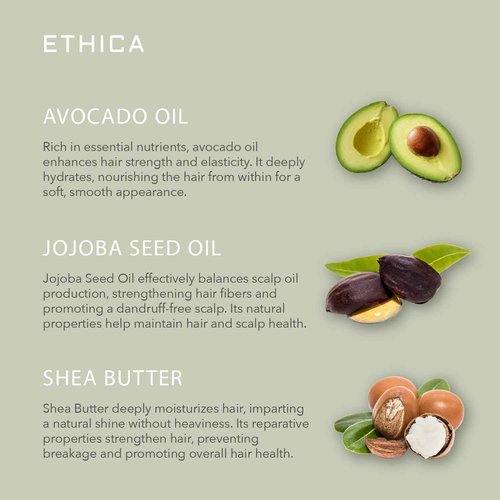 Ethica Beauty Professional Conditioner. Deep Conditioning, Volumizing, & Hydrating. Promotes Strong Healthy Hair, Scalp Health, and Hair Growth, 16.9 oz